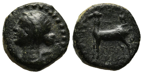 Ancient coin of Ariarathes X Eusebes Philadelphos 42-36 BC - King of Cappadocia
